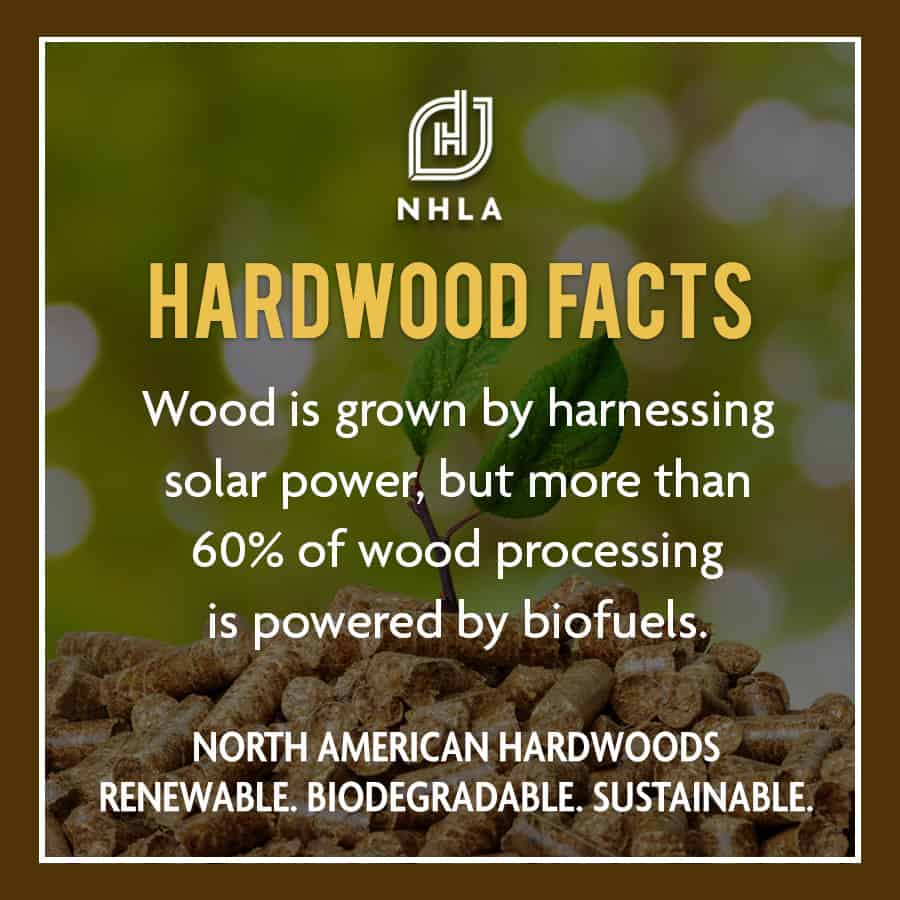 hardwood facts two image