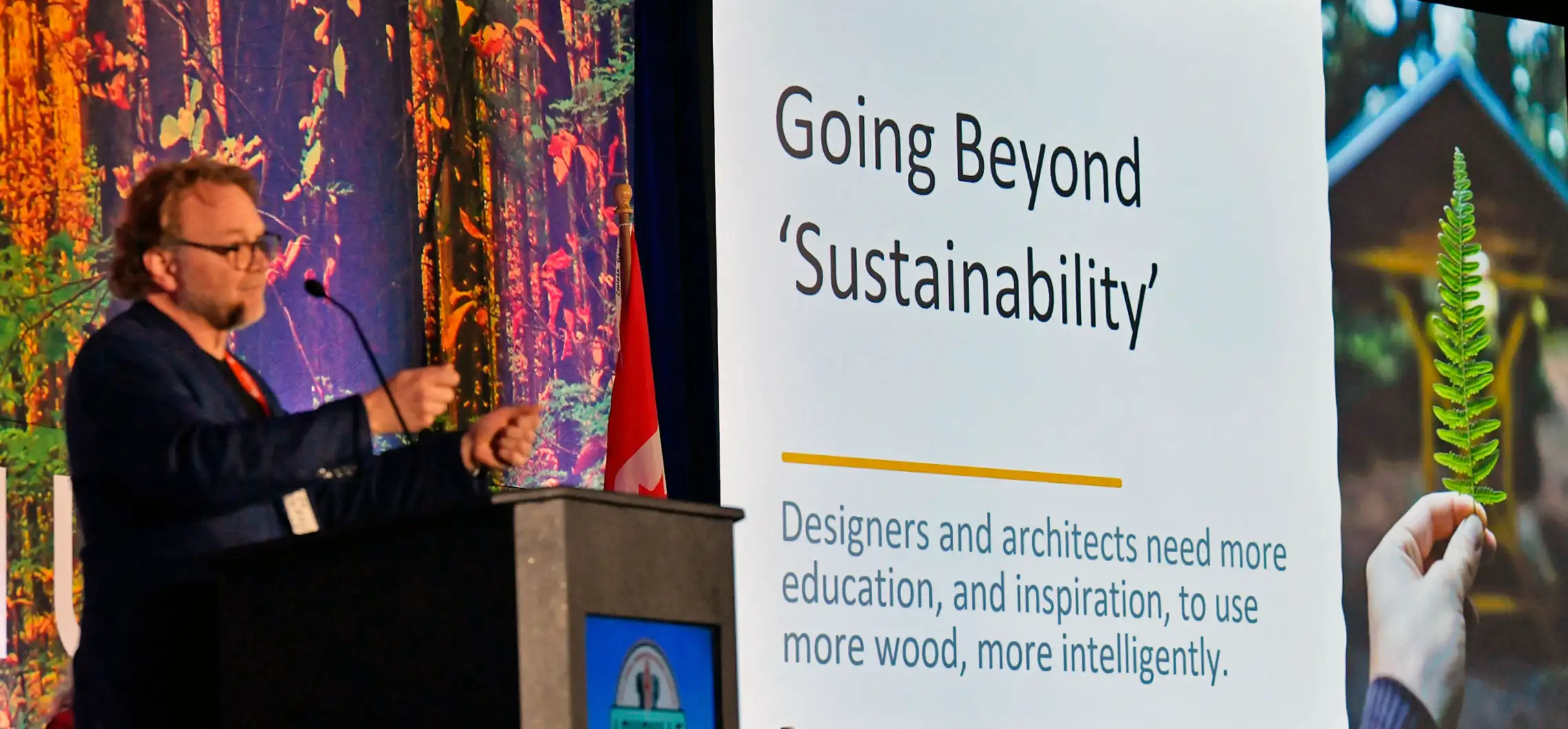 Going Beyond Sustainability in the hardwood industry