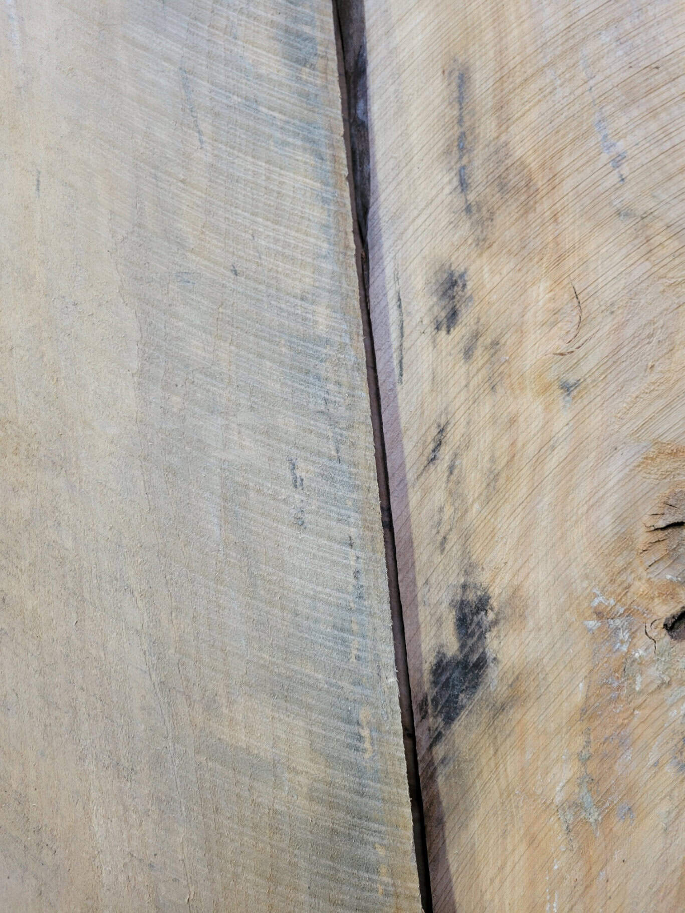 The Veil of Stain:Sap, Fungal, Log and Blue | National Hardwood Lumber ...