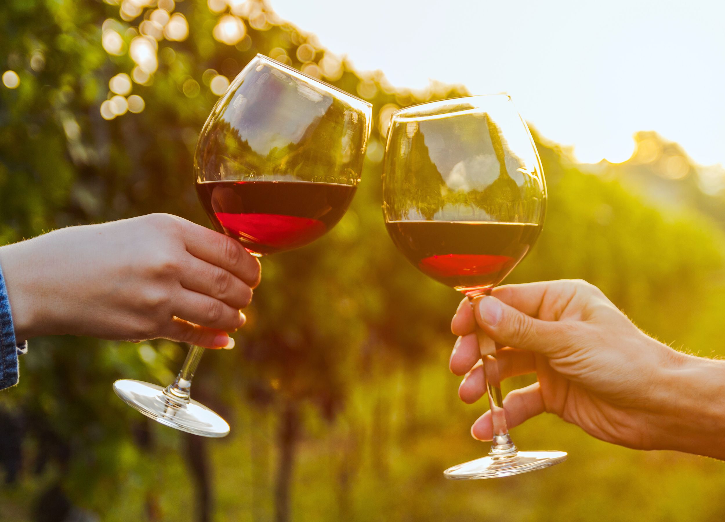 Tour to include the following: - Hidden Wonders Cavern Tour - Lunch at Natural Bridge Caverns - Wine Tasting at Dry Comal Vineyard Tentative Schedule 9:45 AM – Load Bus 10:00 AM – Depart for Natural Bridge Caverns 10:30 AM – 11:30 AM – Discovery Tour 11:45 AM – 12:45 PM – Lunch at Natural Bridge Caverns 12:45 PM – Depart for Dry Comal Vineyard 1:00 PM – 2:00 – Tasting at Dry Comal Vineyard 2:00 PM – Depart for Marriott Rivercenter 2:30 PM – Arrive at Marriott Rivercenter