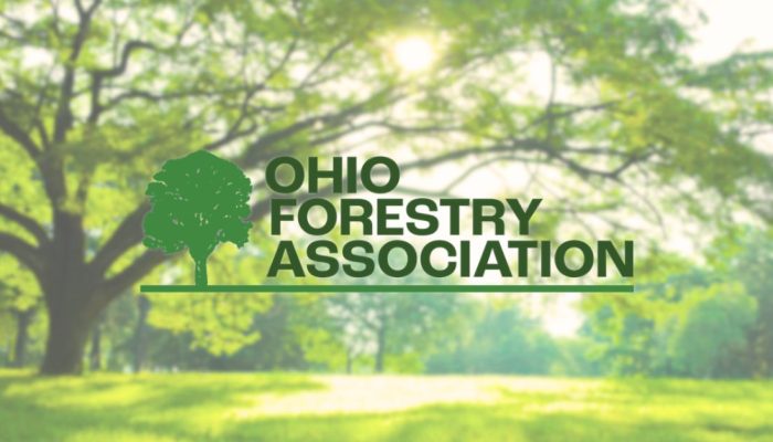 ADVOCACY 101:The Best Defense Is a Good Offense